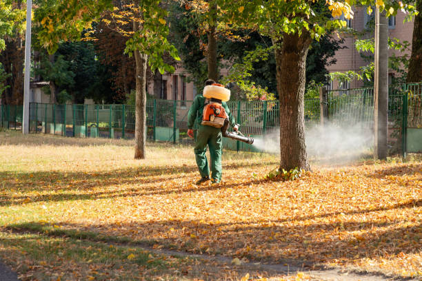 Trusted Juniper Canyon, OR Pest Control Experts